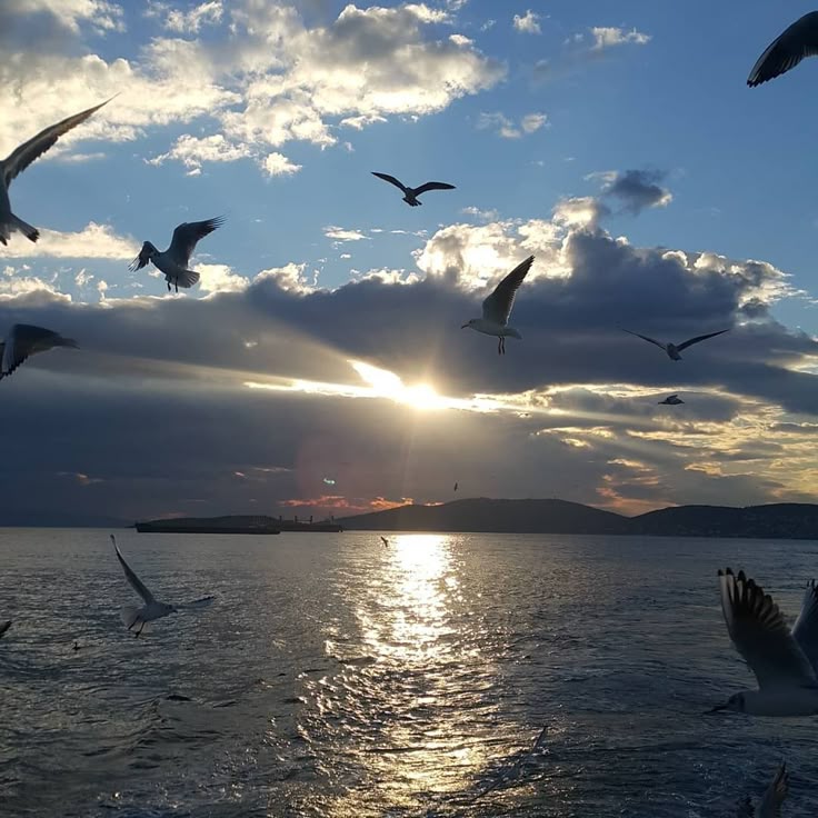 Sunset moments